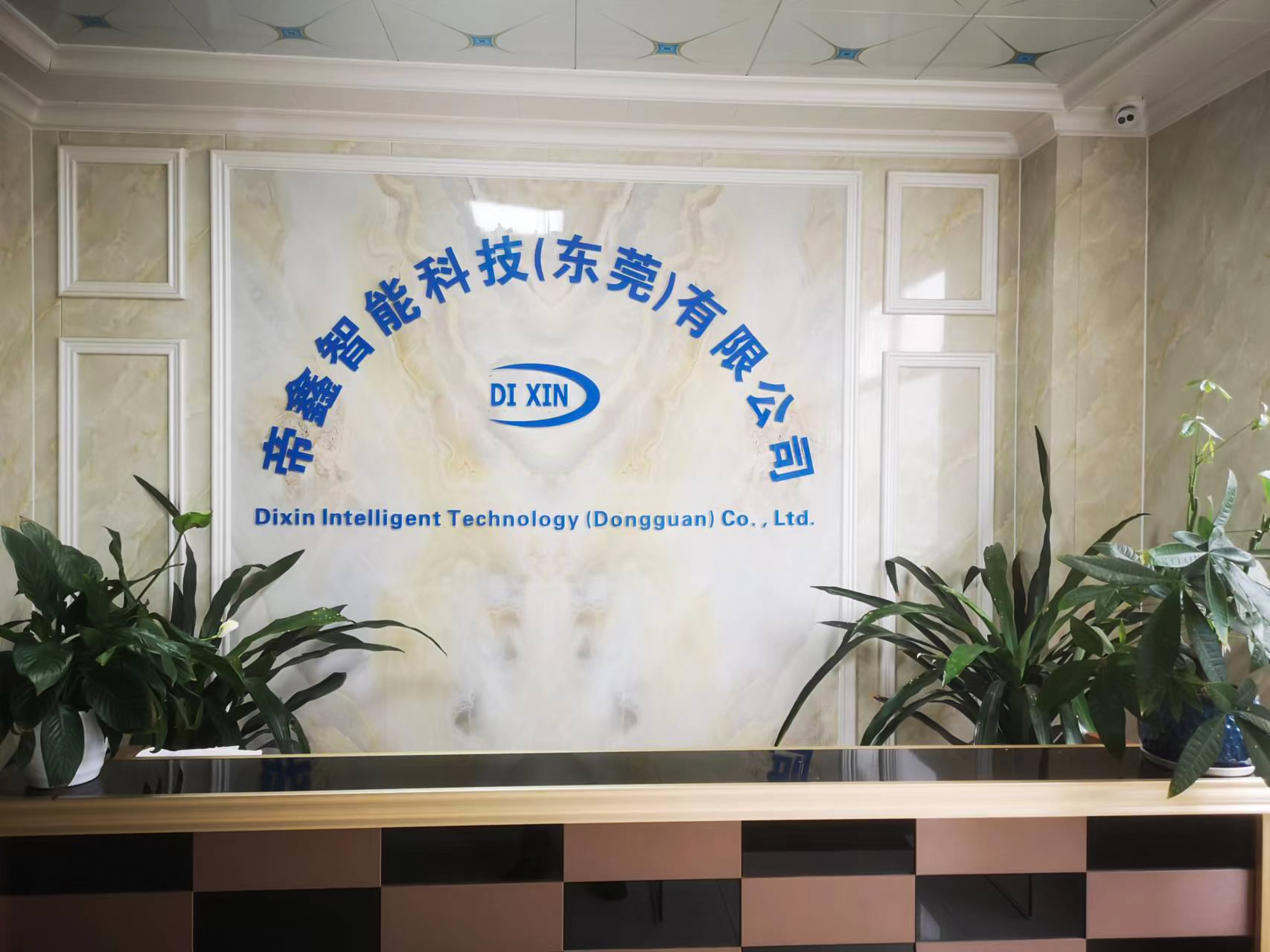 Dixin Technology (Guangdong) Co. , Ltd.